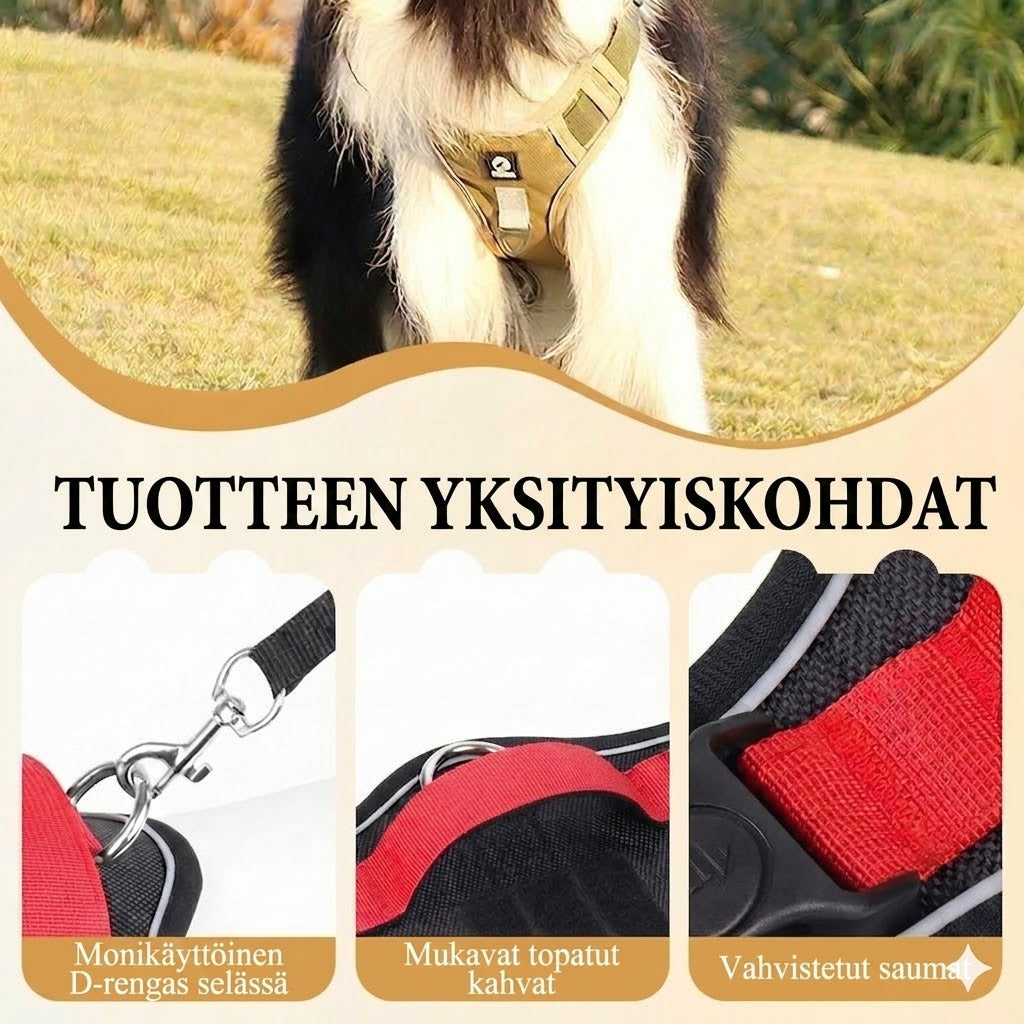 Vedonestovaljaat, hihna & LED-panta – Ergonominen, pehmeää nailonia & täydellinen yölenkeille