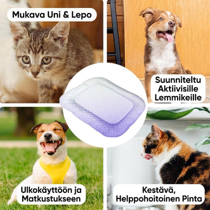 3D-viilentävä alusta koirille ja kissoille – Hengittävä geelipeti kesäksi