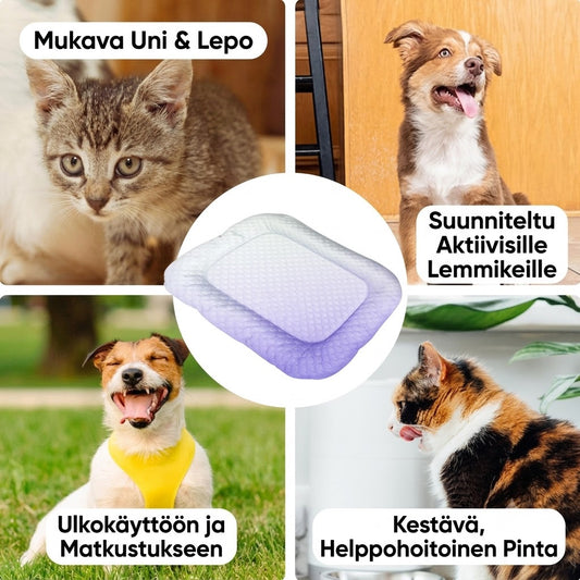 3D-viilentävä alusta koirille ja kissoille – Hengittävä geelipeti kesäksi