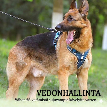 Vedonestovaljaat, hihna & LED-panta – Ergonominen, pehmeää nailonia & täydellinen yölenkeille