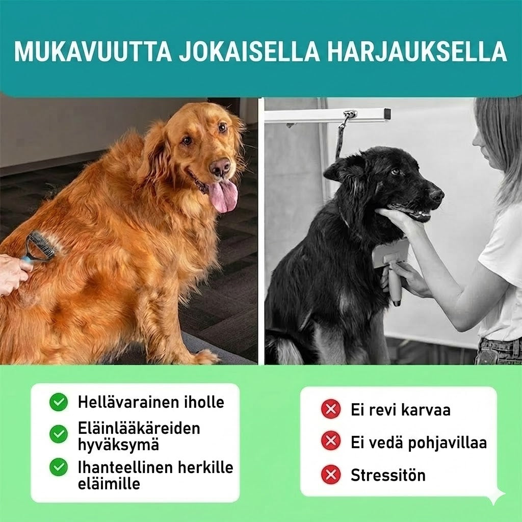 Kaksipuolinen harja koirille & kissoille – poistaa irtokarvat helposti ja vähentää karvanlähtöä