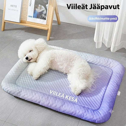 3D-viilentävä alusta koirille ja kissoille – Hengittävä geelipeti kesäksi