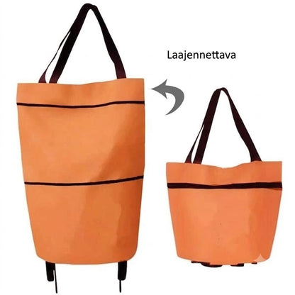 Varakassi Ostoskärryyn