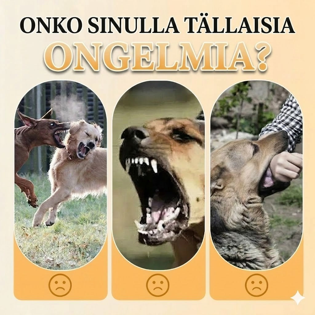 Vedonestovaljaat, hihna & LED-panta – Ergonominen, pehmeää nailonia & täydellinen yölenkeille