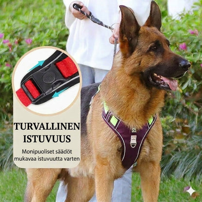 Vedonestovaljaat, hihna & LED-panta – Ergonominen, pehmeää nailonia & täydellinen yölenkeille