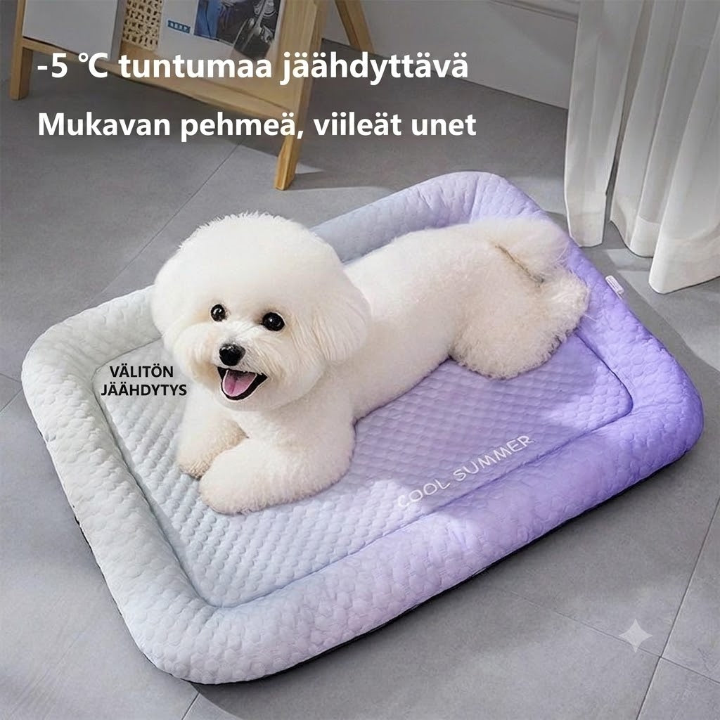 3D-viilentävä alusta koirille ja kissoille – Hengittävä geelipeti kesäksi